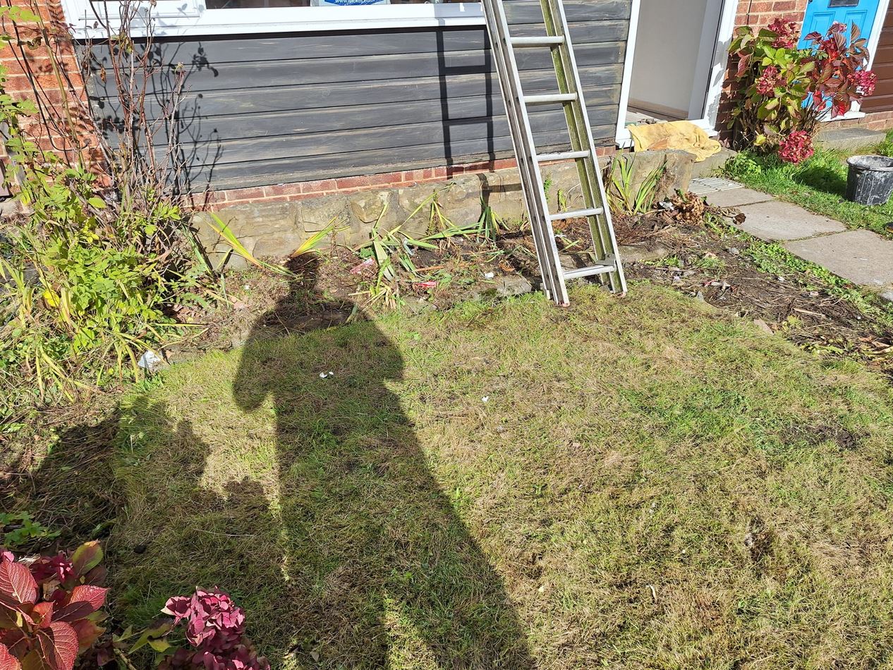 garden filled with rubbish toilet cardboard removed